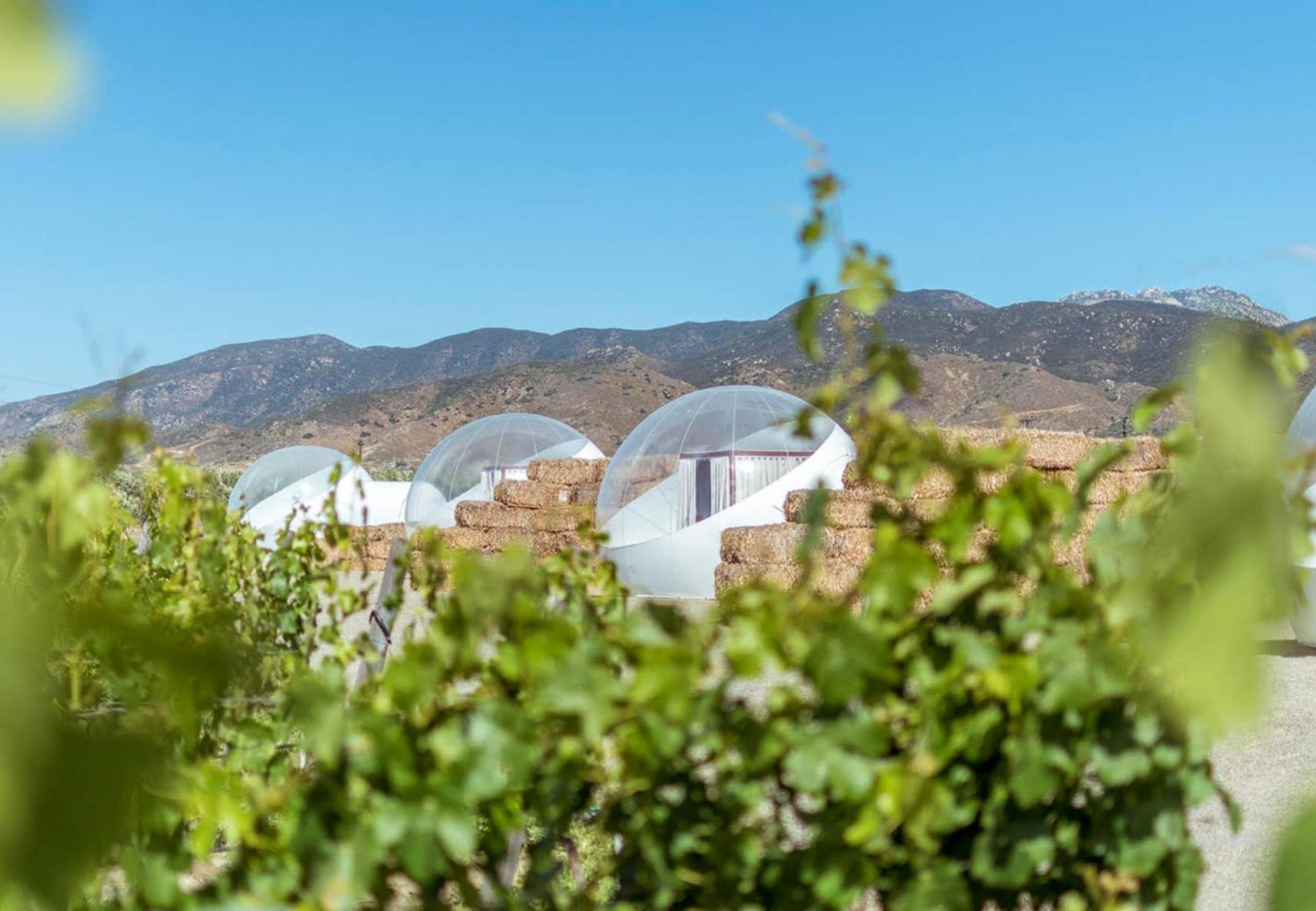Campera Valle De Guadalupe Ensenada Zewnętrze zdjęcie