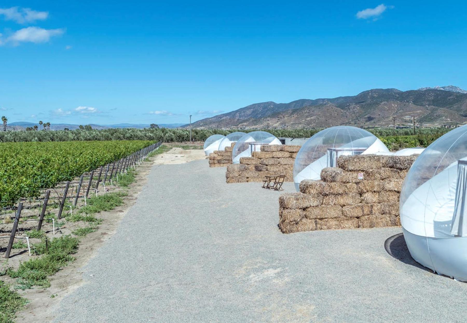 Campera Valle De Guadalupe Ensenada Zewnętrze zdjęcie